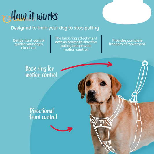 No Pull Dog Harness – Adjustable, Reflective & Lightweight Training Harness to Stop Pulling,