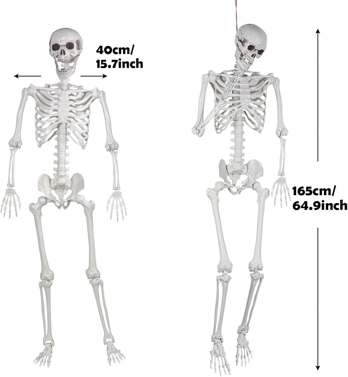 Realistic life size skeleton for Halloween graveyard decor