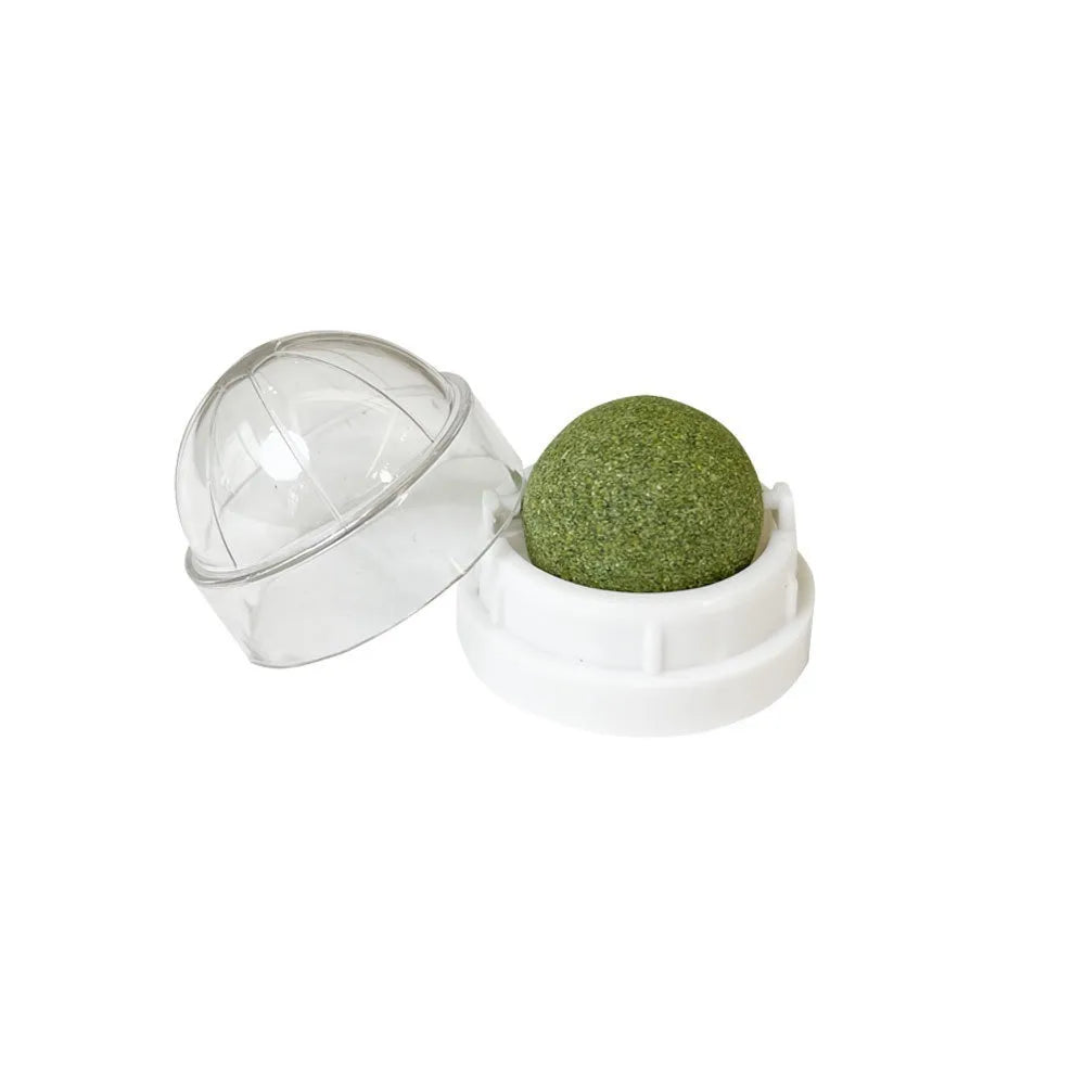 Catnip wall ball cat toy keeps pets busy