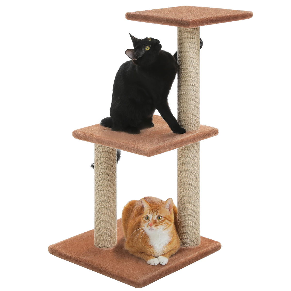Small indoor cat tree color options