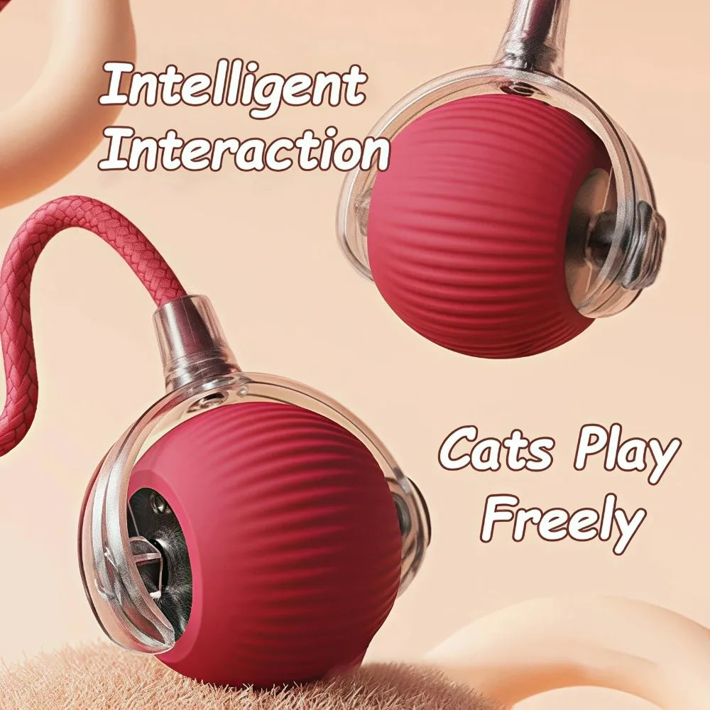 Smart rolling ball cat toy in use during play