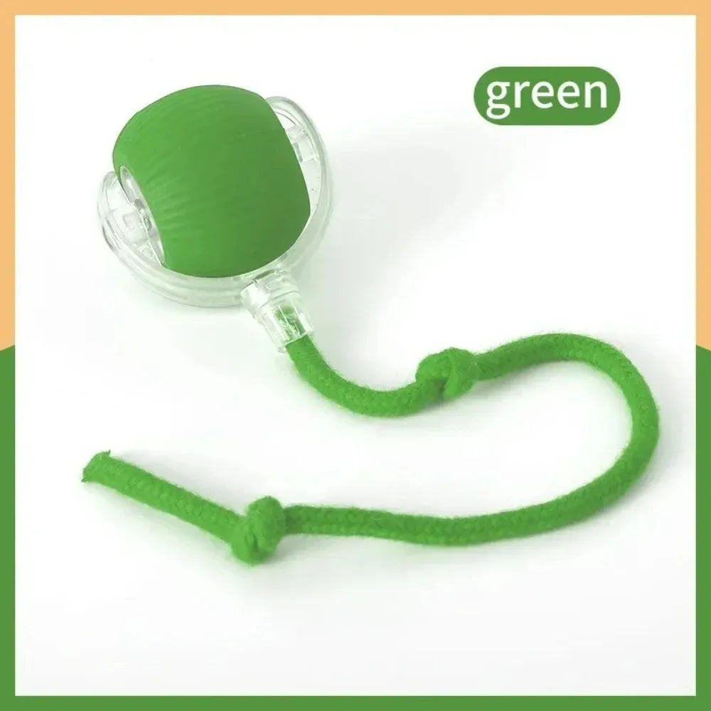 Smart rolling ball cat toy lifestyle photo