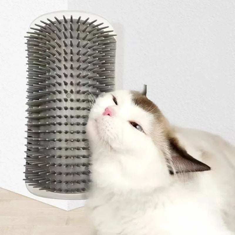 Cat rubbing against wall corner groomer