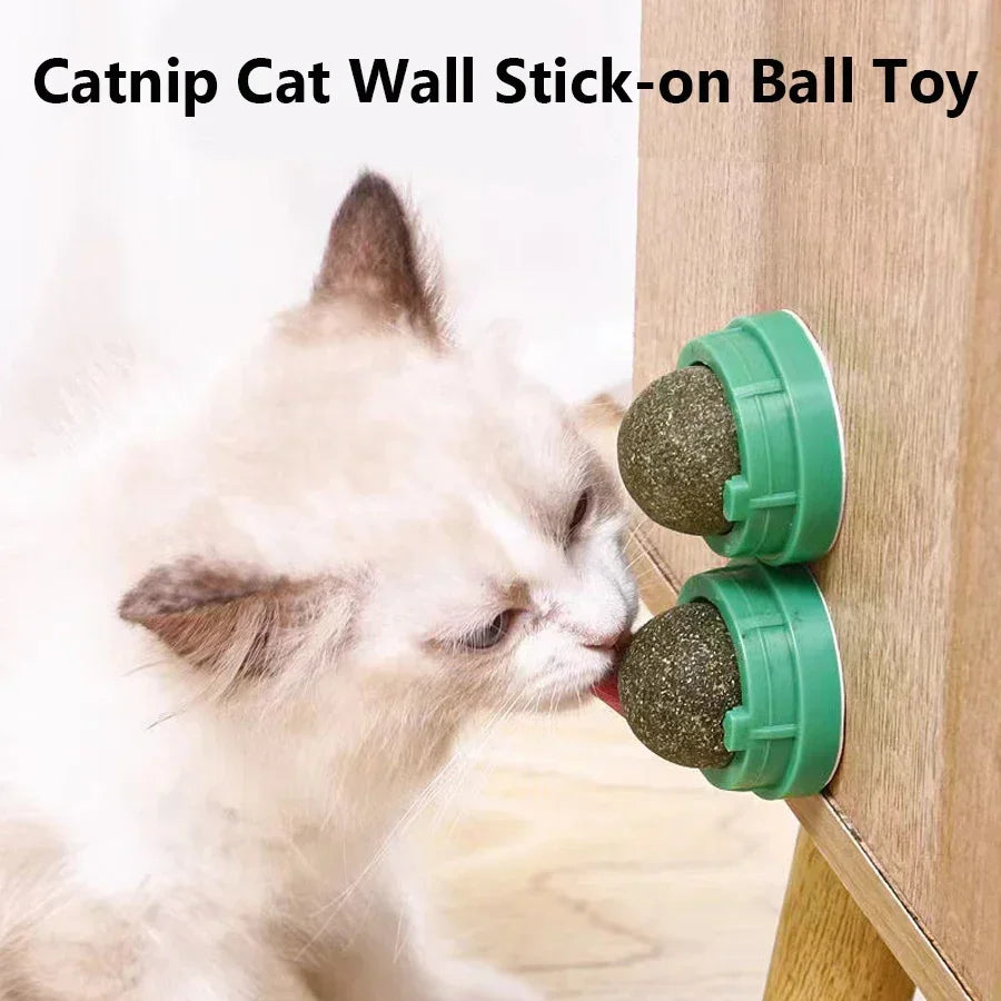 Catnip wall ball cat toy
