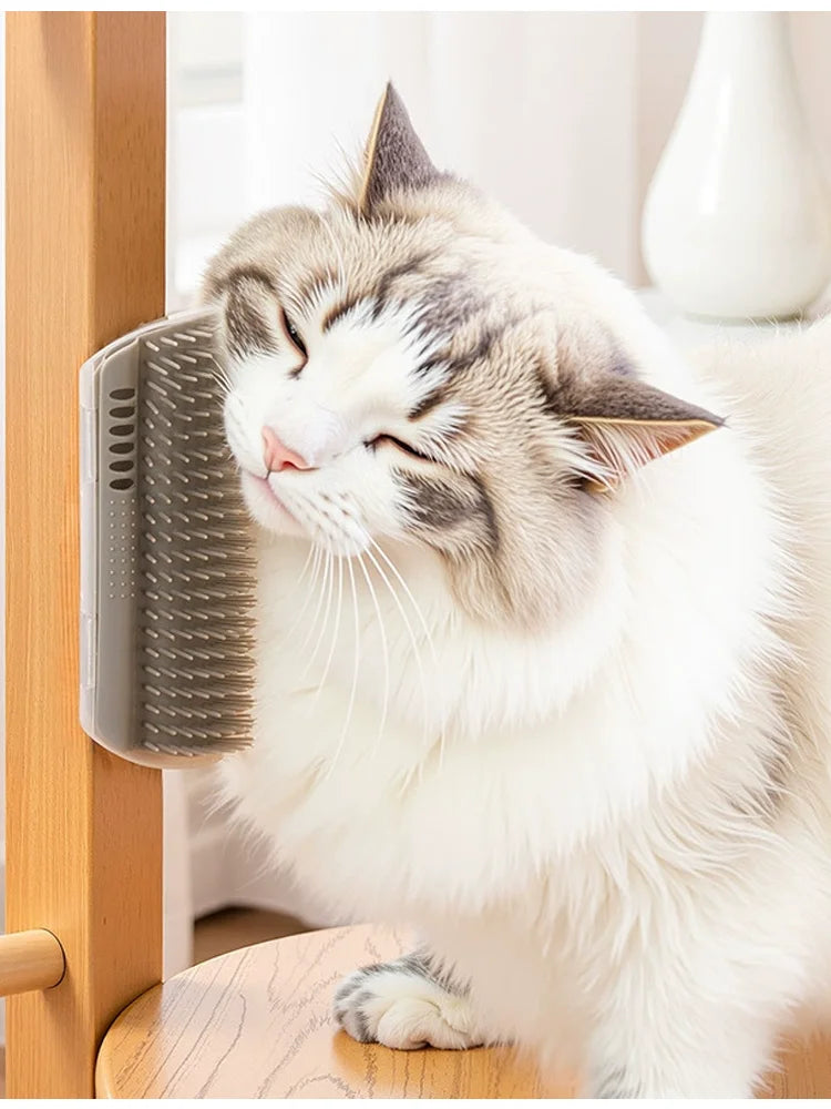 Cat rubbing on wall corner groomer