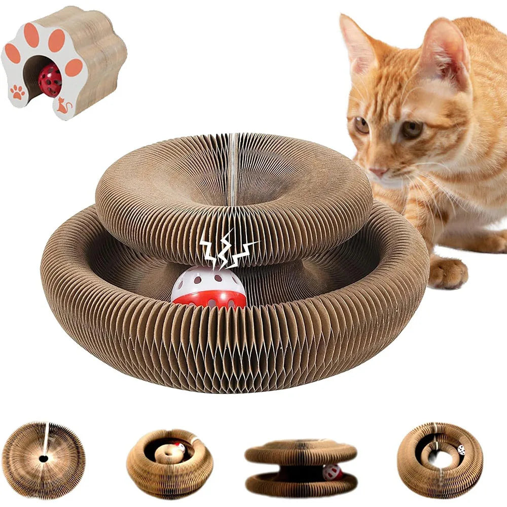 Magic organ cat scratching board