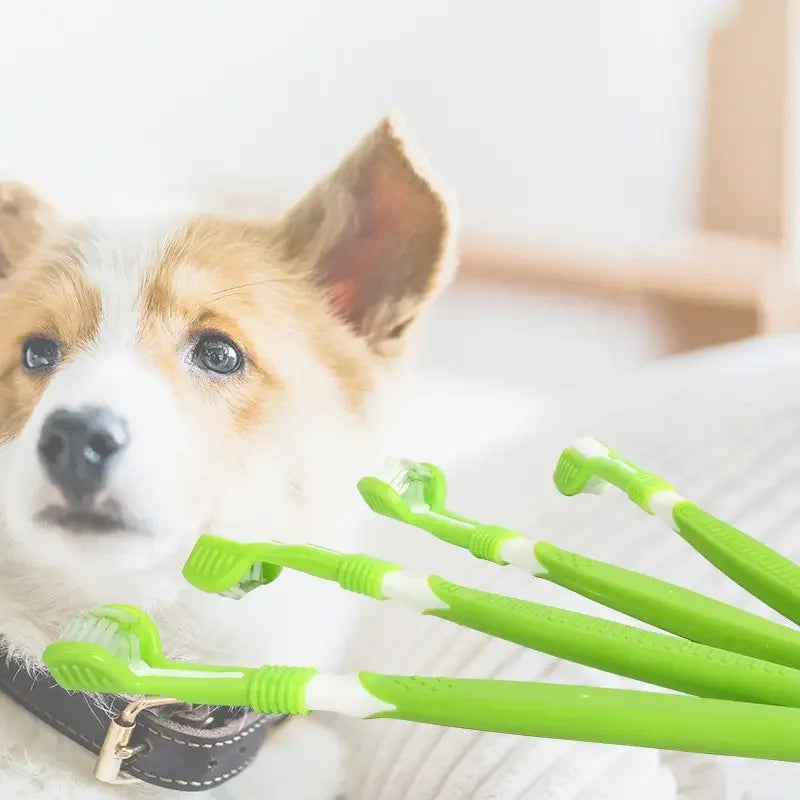 Three-sided pet toothbrush for dogs and cats - image 3