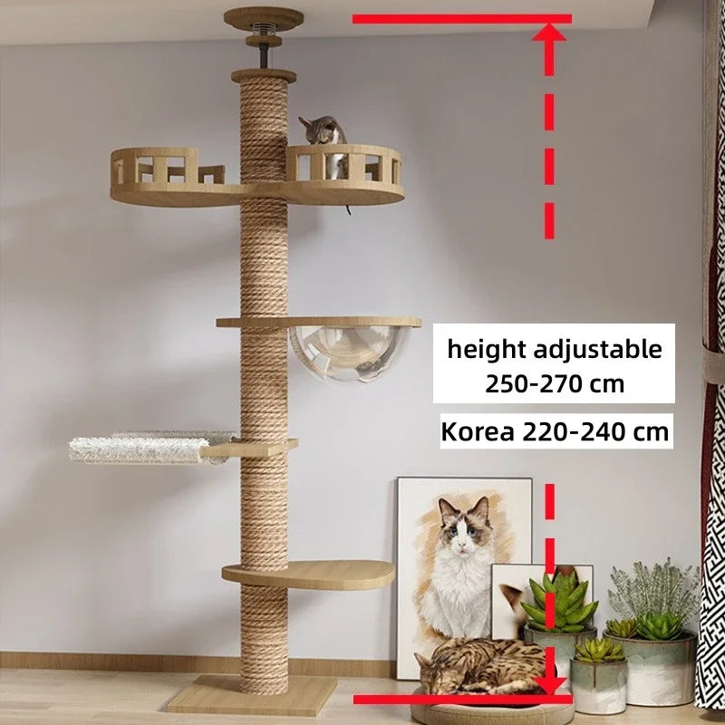 Floor to ceiling cat tree with condo and hammock
