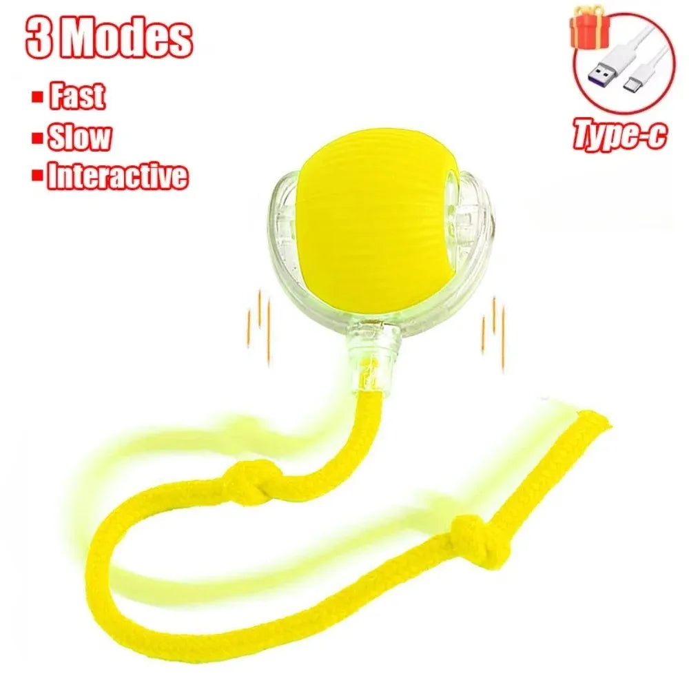 Smart rolling ball cat toy package contents