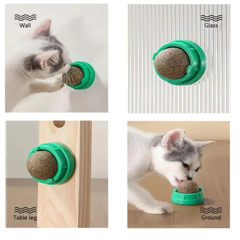 Catnip wall ball cat toy in use during play