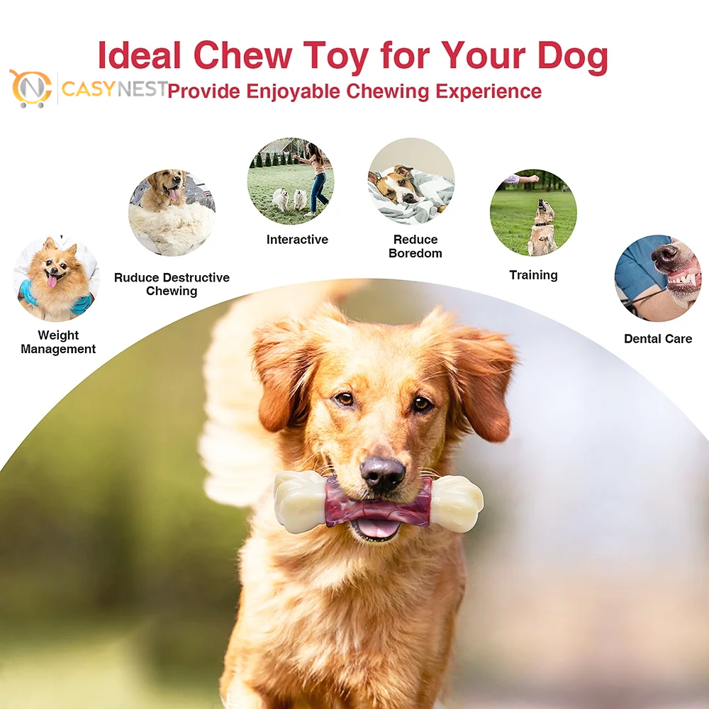 Tough Chew Dog Toys for Large & Medium Dogs – Aggressive Chewer Bones with Toothbrush Design