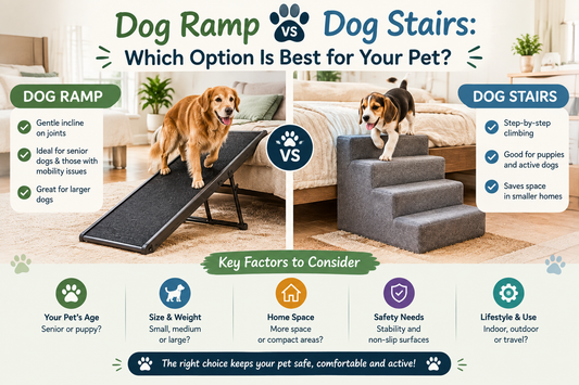 Dog Ramp vs Dog Stairs: Which Option Is Best for Your Pet?