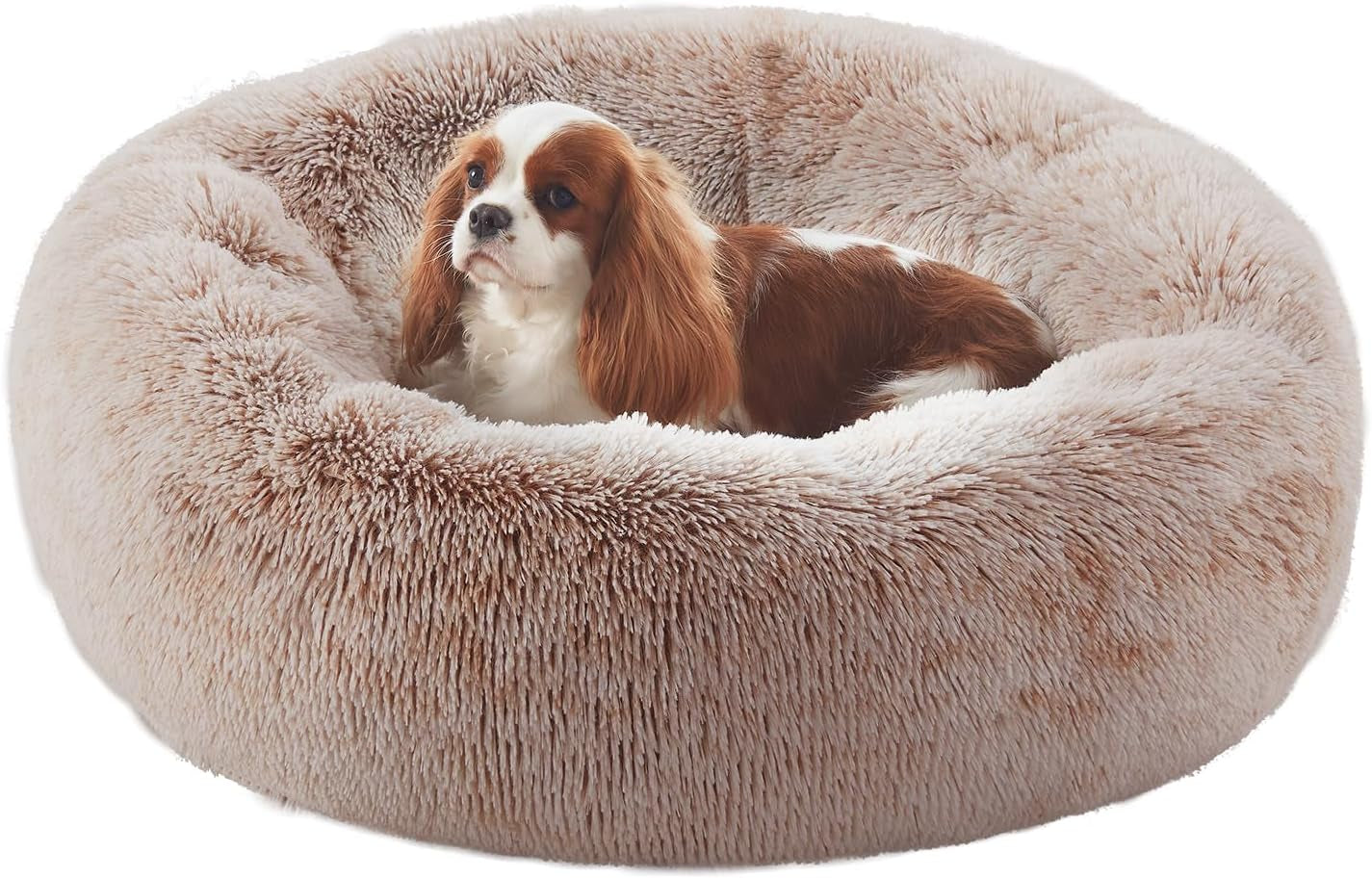 Donut Dog Bed for All Dogs Calming Plush Washable Round Bed 