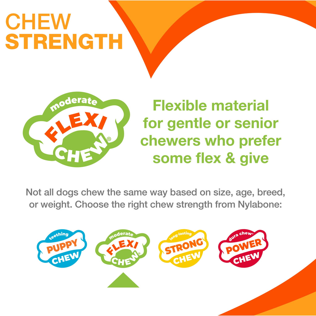 2-Pack XX-Small Chew Bone Dog Toy – Peanut Butter & Bacon, Orange & Blue