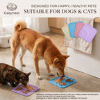 Dog slow feeder lick mat with suction cup for anxiety relief