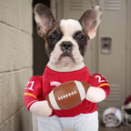 Pet Halloween costume with basketball theme for funny dog photos