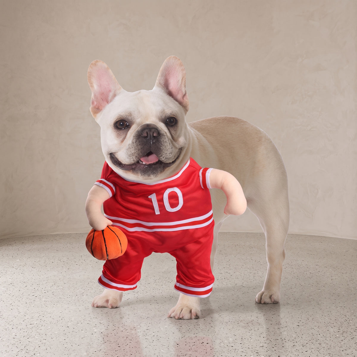 Adjustable basketball player clothes for small and medium dogs