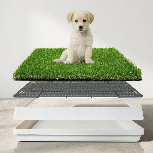 Dog grass pad with tray for indoor puppy potty training and artificial grass