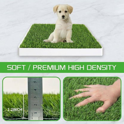 Indoor puppy potty with fake grass surface and lower urine collection tray