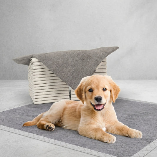 23x23 charcoal puppy pads 100 count pack for dog potty training