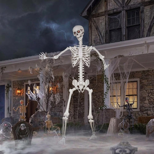 5.4Ft/165Cm Halloween Skeleton, Life Size Skeleton with Posable Joints