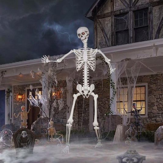 5.4Ft/165Cm Halloween Skeleton, Life Size Skeleton with Posable Joints