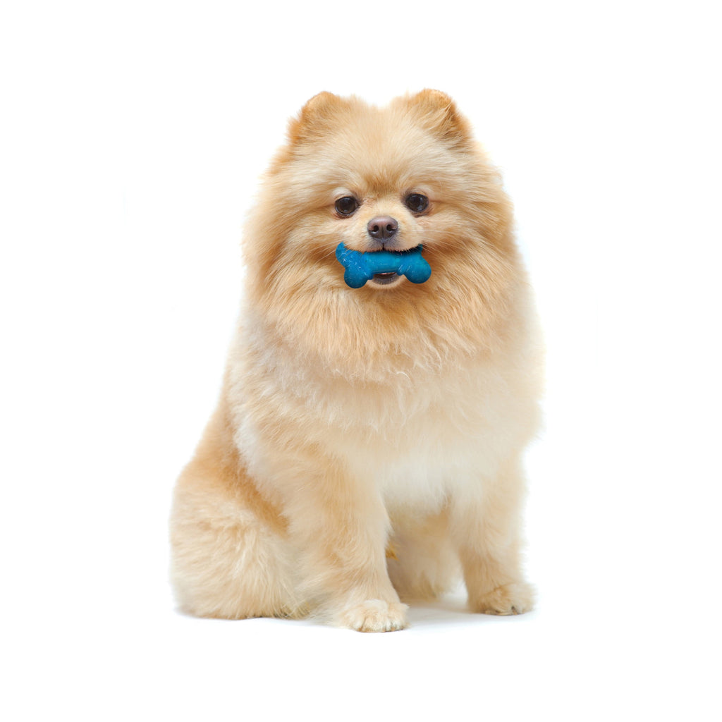 2-Pack XX-Small Chew Bone Dog Toy – Peanut Butter & Bacon, Orange & Blue