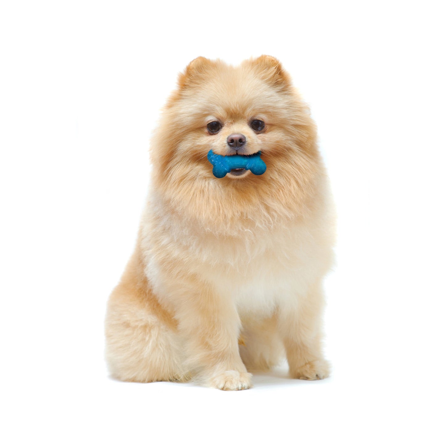 2-Pack XX-Small Chew Bone Dog Toy – Peanut Butter & Bacon, Orange & Blue