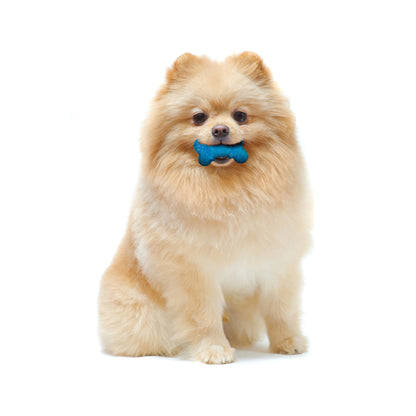 2-Pack XX-Small Chew Bone Dog Toy – Peanut Butter & Bacon, Orange & Blue