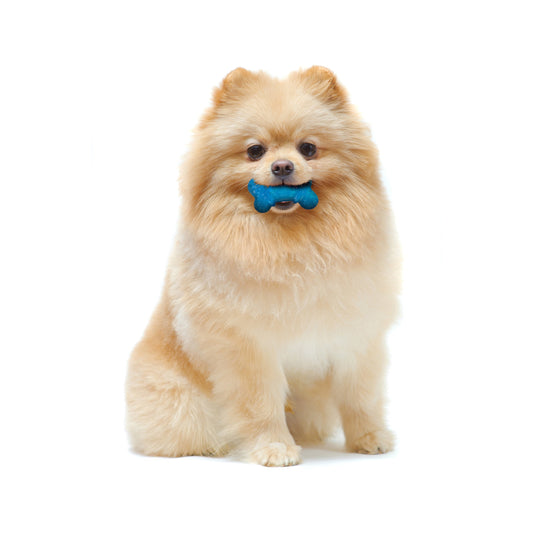 2-Pack XX-Small Chew Bone Dog Toy – Peanut Butter & Bacon, Orange & Blue