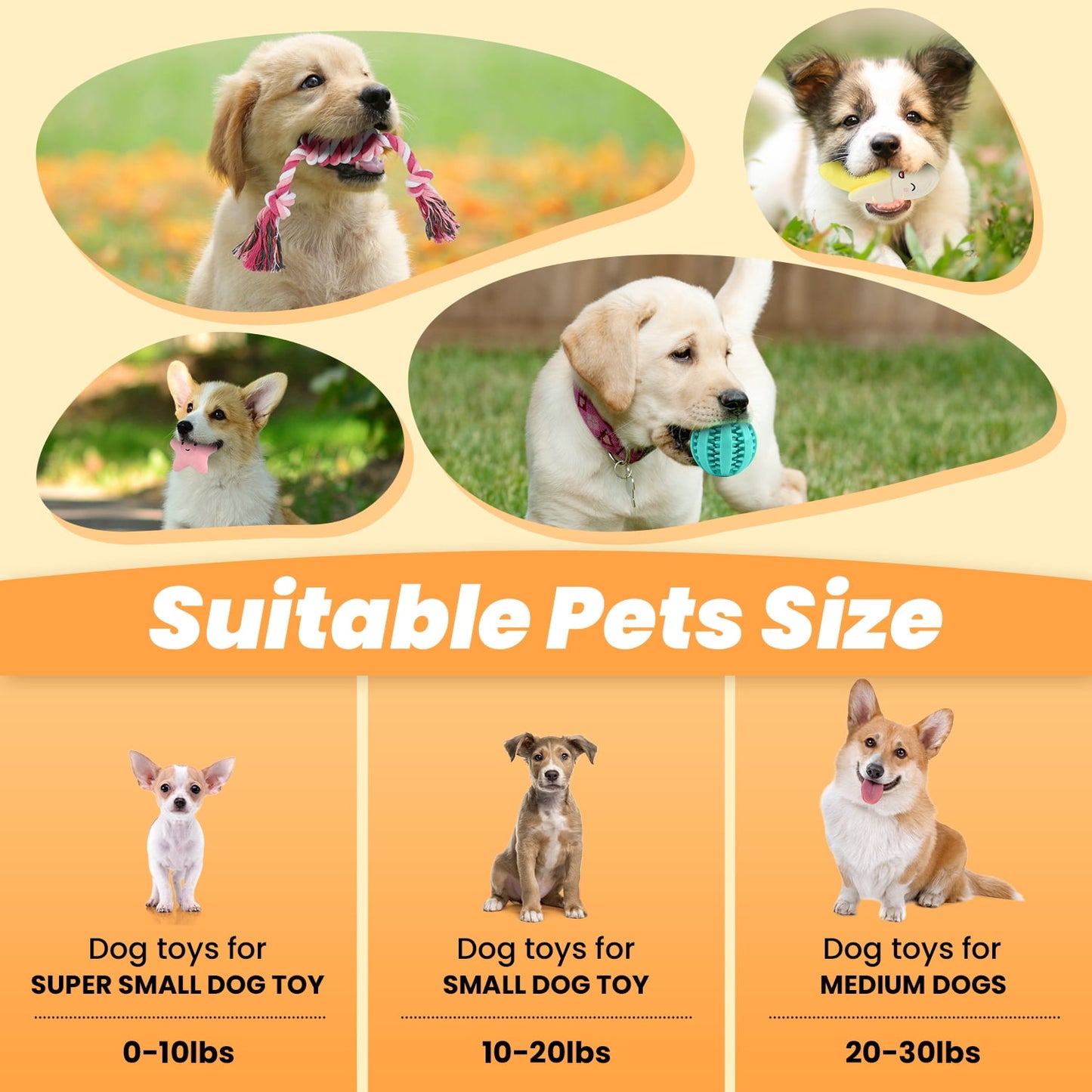 10-Pack Small Dog Puppy Chew Toys – Teething & Training Set with Plush Squeaky Toys, Treat Ball & Rope Toys (Pink Pig)