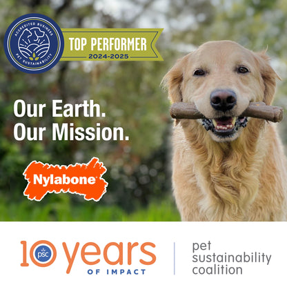 2-Pack XX-Small Chew Bone Dog Toy – Peanut Butter & Bacon, Orange & Blue