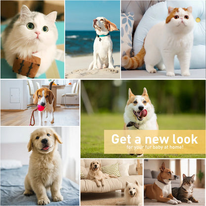 4-in-1 Cordless Pet Grooming Kit for Dogs & Cats – Clippers & Nail Grinder for Hair, Nails, Paws, Face & Ears