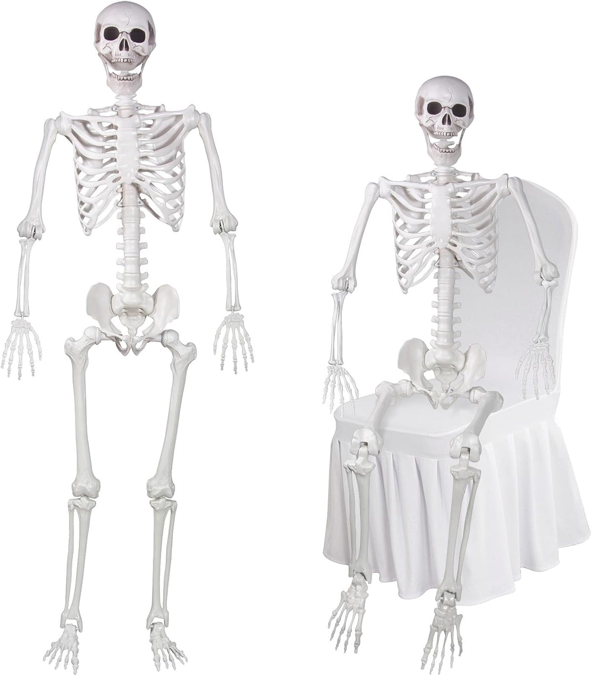 Life size Halloween skeleton with flexible joints