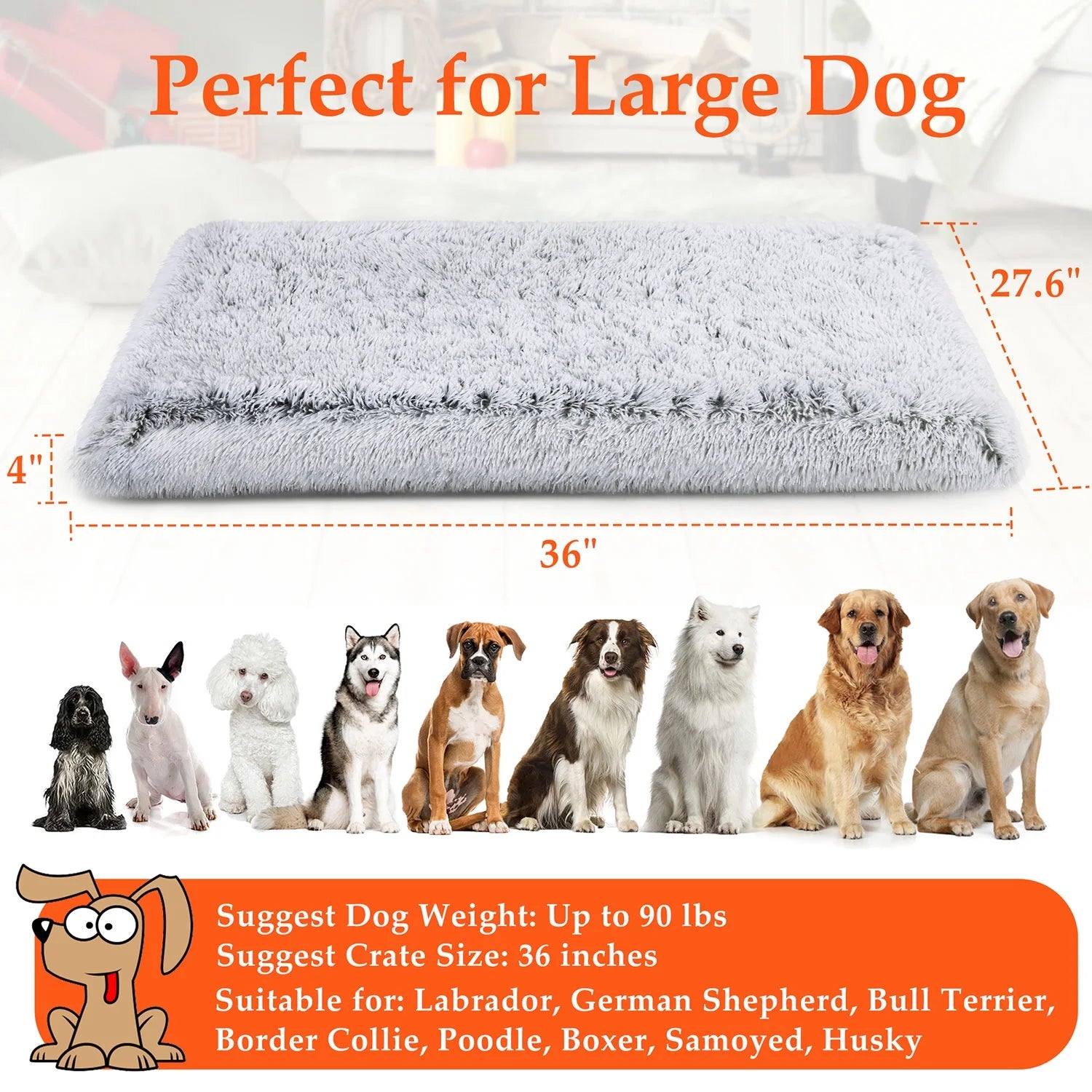 Orthopedic Dog Bed for Large & Medium Dogs – Washable Egg Crate Memory Foam, Plush Calming Pet Bed, 36" x 28", Gray
