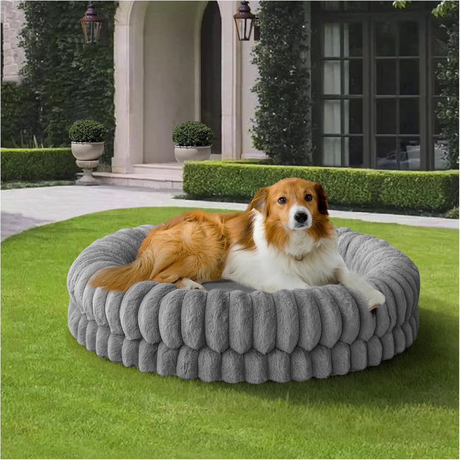 Washable Orthopedic Calming Dog Bed for Ultimate Comfort