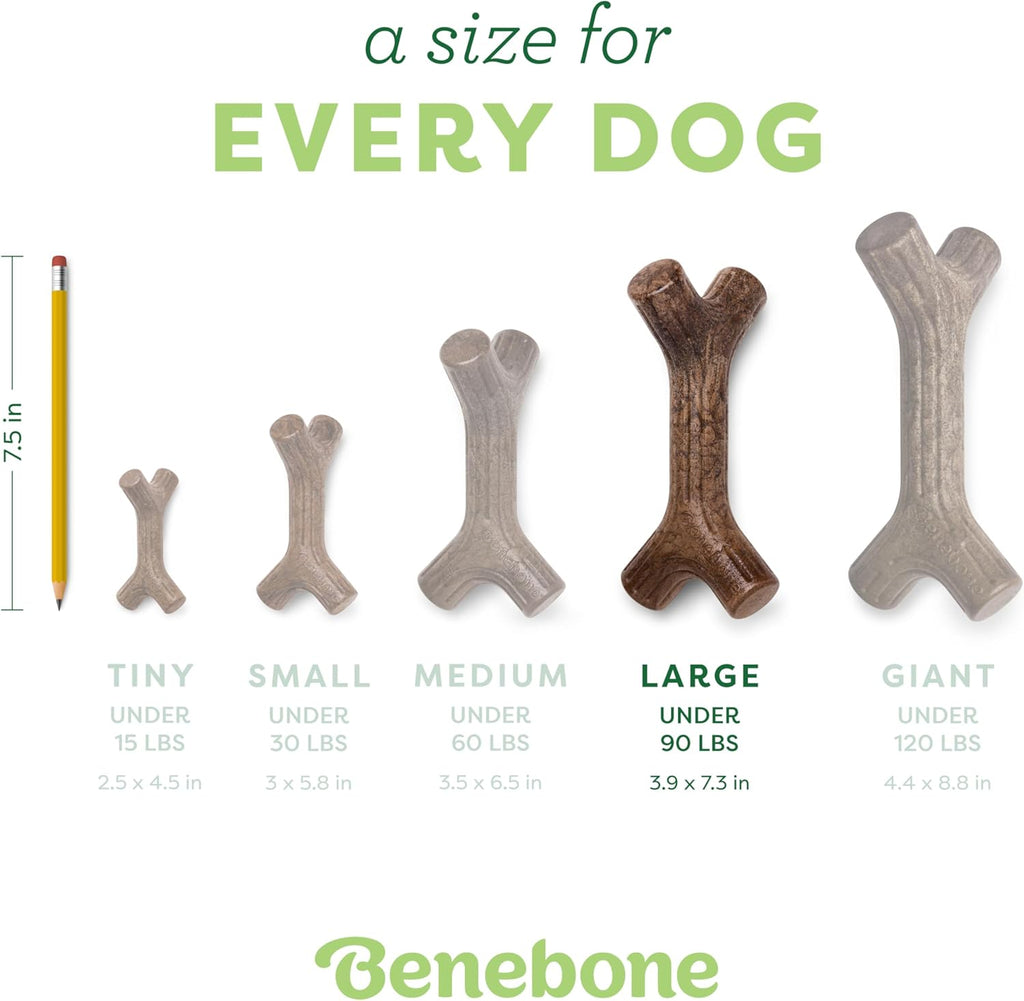 long lasting dog chew toy