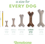 long lasting dog chew toy