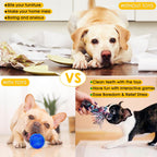 Aipper Dog Toys 25 Pack for Fun and Teeth Cleaning, Puppy Chew Toys Pack with Squeak Plush Toy,Squeaky Toy Balls,Tug of War and Rope Toys for Puppy to Small Dogs