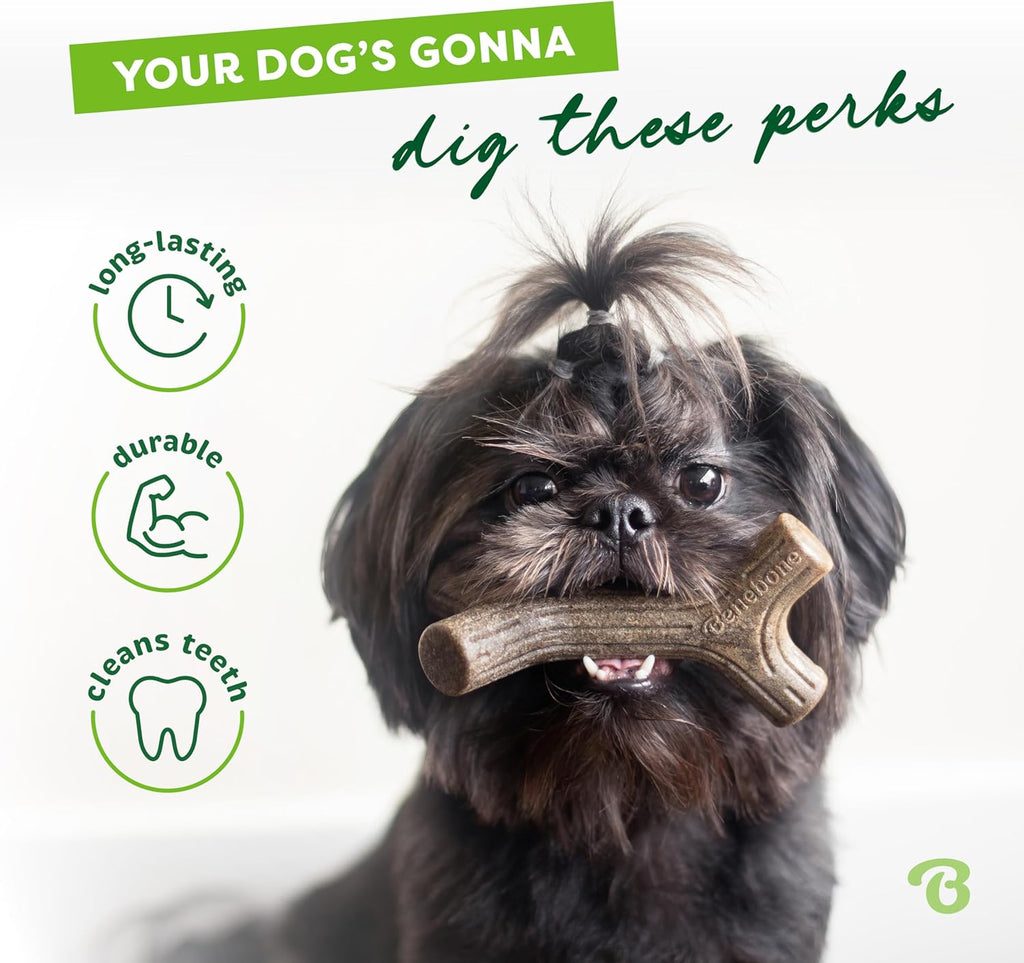 natural wood dog toy