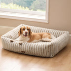 Orthopedic Dog Bed with Washable Cover for Small Dogs