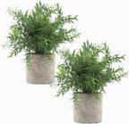 2 Pcs Small Fake Plants Eucalyptus, Artificial Plants Indoor for Shelf, Potted Eucalyptus Plants for Home/Bathroom/Pottery Barn/Desk/Farmhouse/Coffee Table Decor (Sage Green)