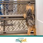 Expandable Pet Gate for Dogs 26-40" Wide Portable Gate