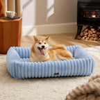 Orthopedic Dog Bed with Washable Cover for Small Dogs