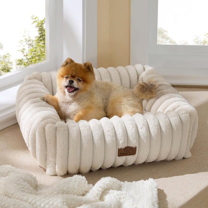Orthopedic Dog Bed with Washable Cover for Small Dogs