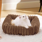 Orthopedic Dog Bed with Washable Cover for Small Dogs