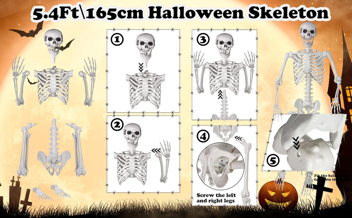 Life size skeleton decoration for indoor and outdoor Halloween