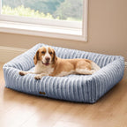 Orthopedic Dog Bed with Washable Cover for Small Dogs
