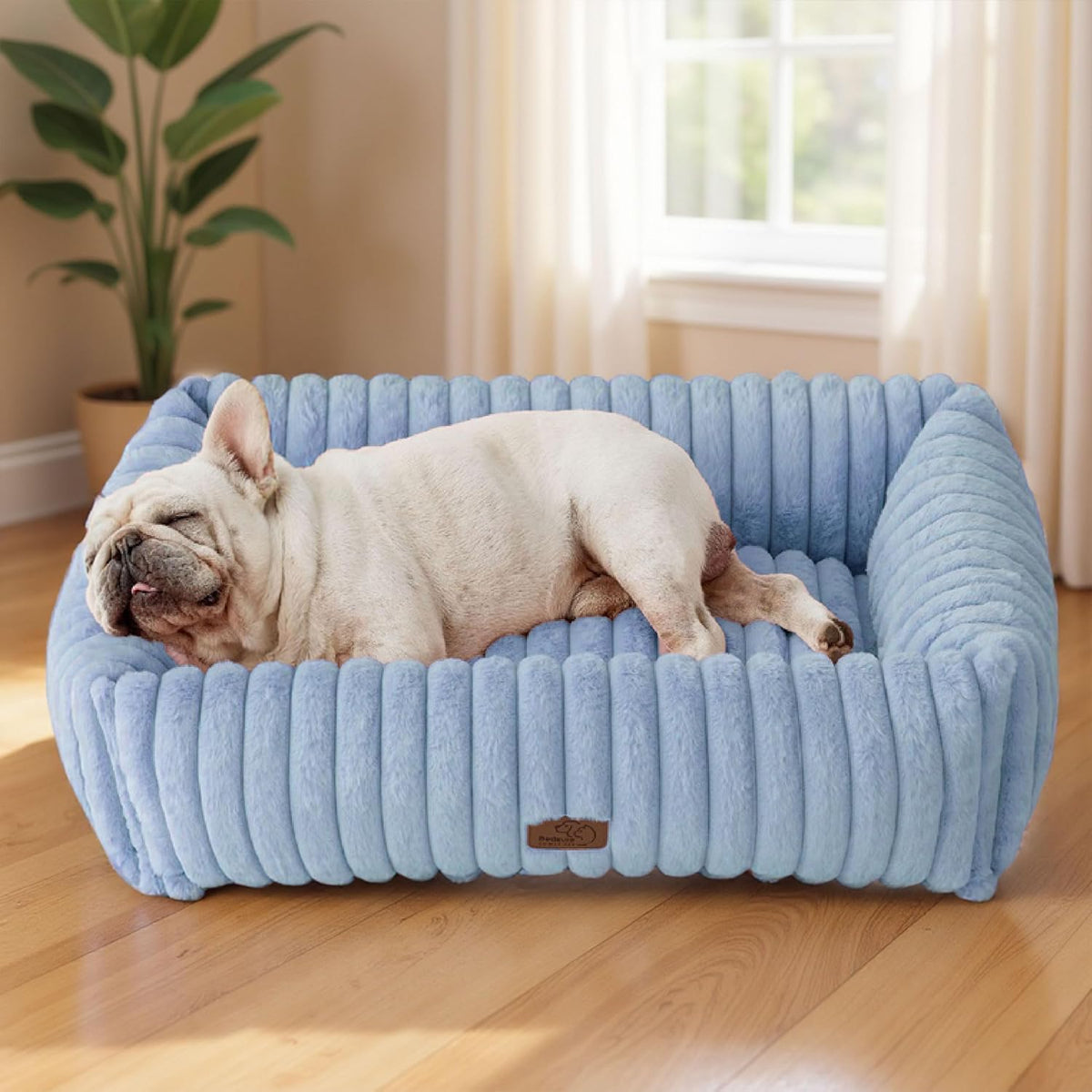 Orthopedic Dog Bed with Washable Cover for Small Dogs
