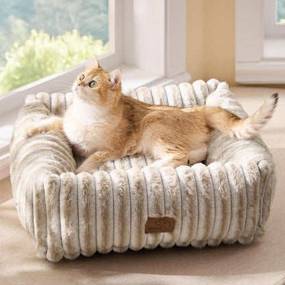 Orthopedic Dog Bed with Washable Cover for Small Dogs